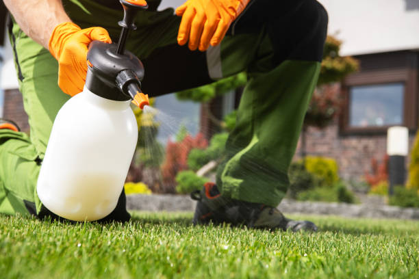 Best Pest Prevention Services  in Grove City, OH