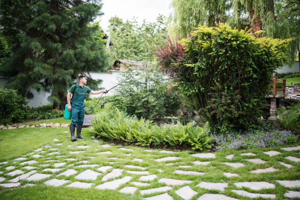 Best Emergency Pest Control  in Grove City, OH