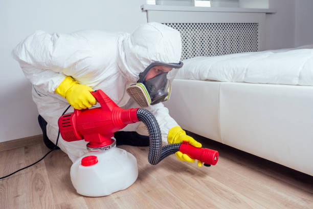 Best Pest Inspection Near Me  in Grove City, OH