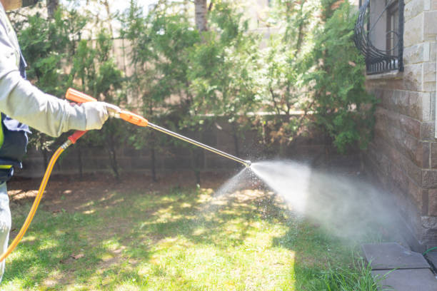 Flea Control Services in Grove City, OH