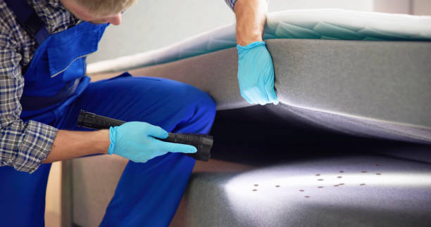 Best Pest Control Near Me  in Grove City, OH