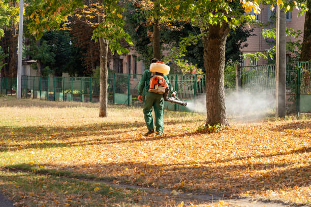 Best Local Pest Control Services  in Grove City, OH